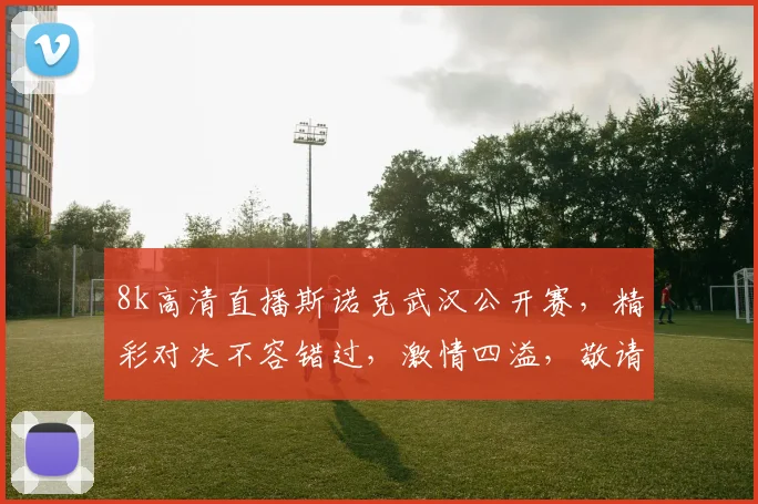 8k高清直播斯诺克武汉公开赛,精彩对决不容错过,激情四溢,敬请期待